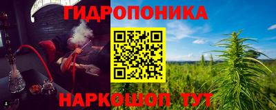 spice Новозыбков