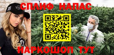 стаф Новокубанск