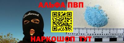 стаф Новокубанск