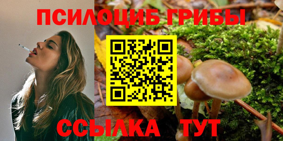 Псилоцибиновые грибы Cubensis Туймазы