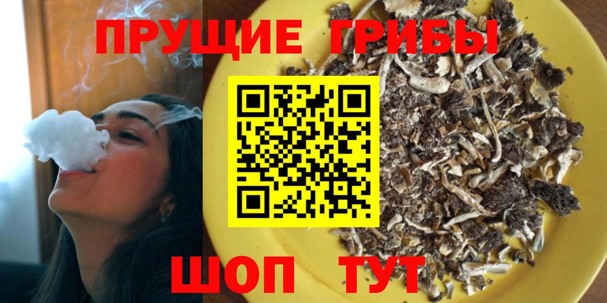 Псилоцибиновые грибы прущие грибы  Вход с VPN  Галлюциногенные грибы GOLDEN TEACHER  Туймазы 